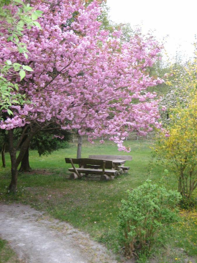 Ferienwohnung Ostseewald Росток Екстериор снимка
