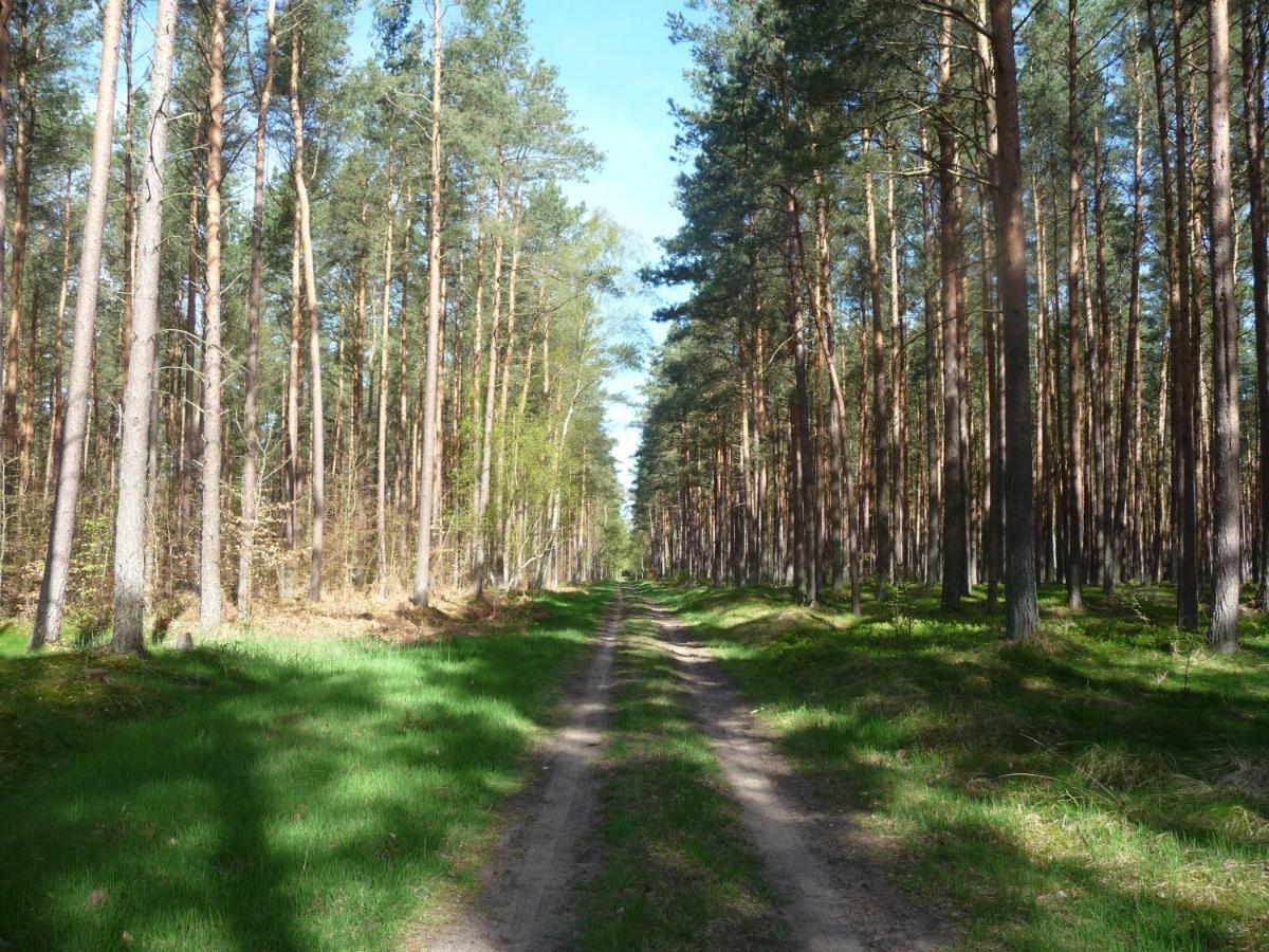 Ferienwohnung Ostseewald Росток Екстериор снимка